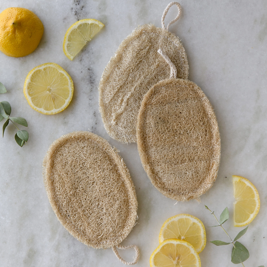 Natural Loofah Sponge - Double Layer Oval