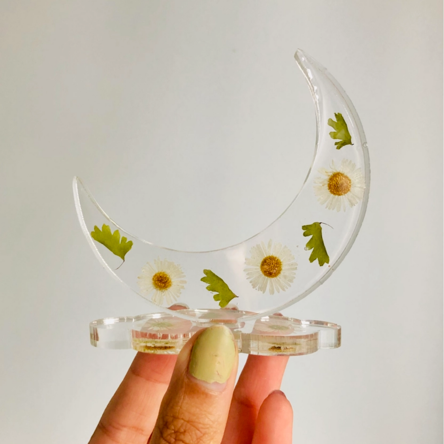 Moon Ring Holder- Small Daisy