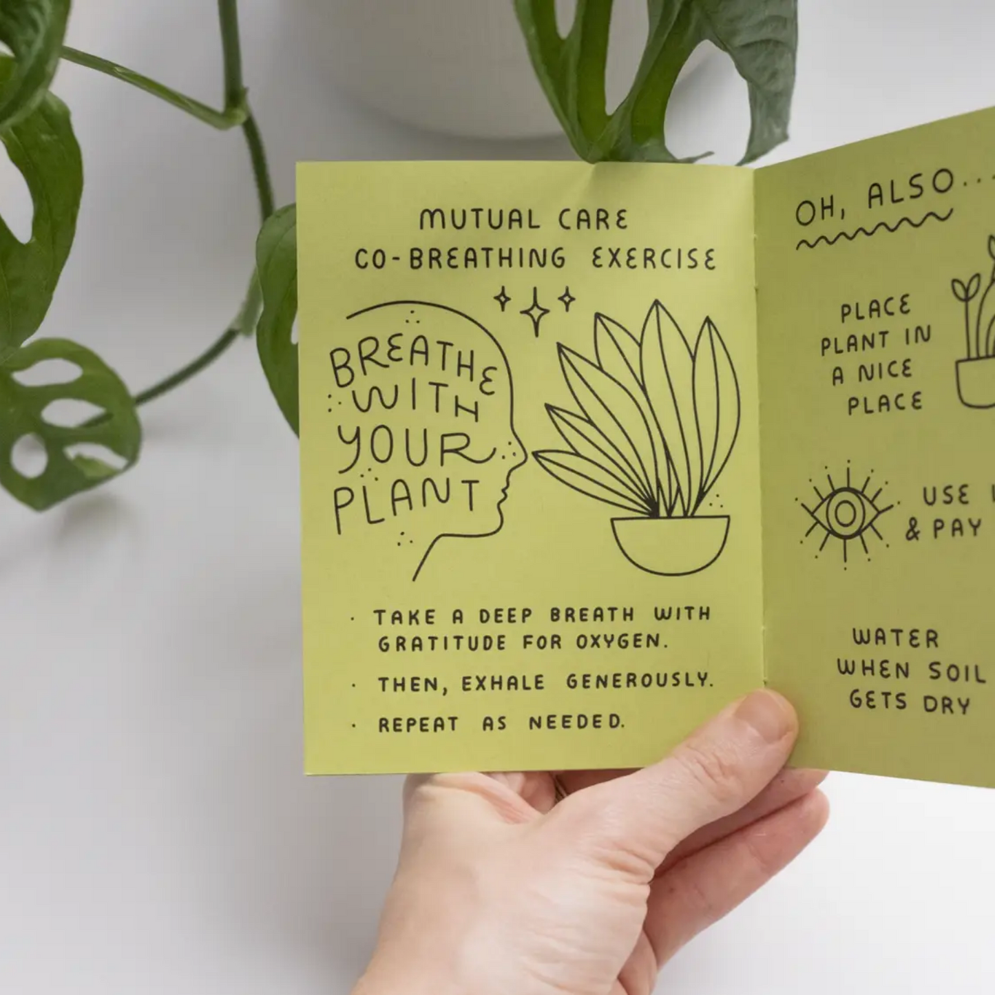 How To Keep A Plant Alive Zine The Materials Design Co how-to-keep-a-plant-alive-zine-the-materials-design-co