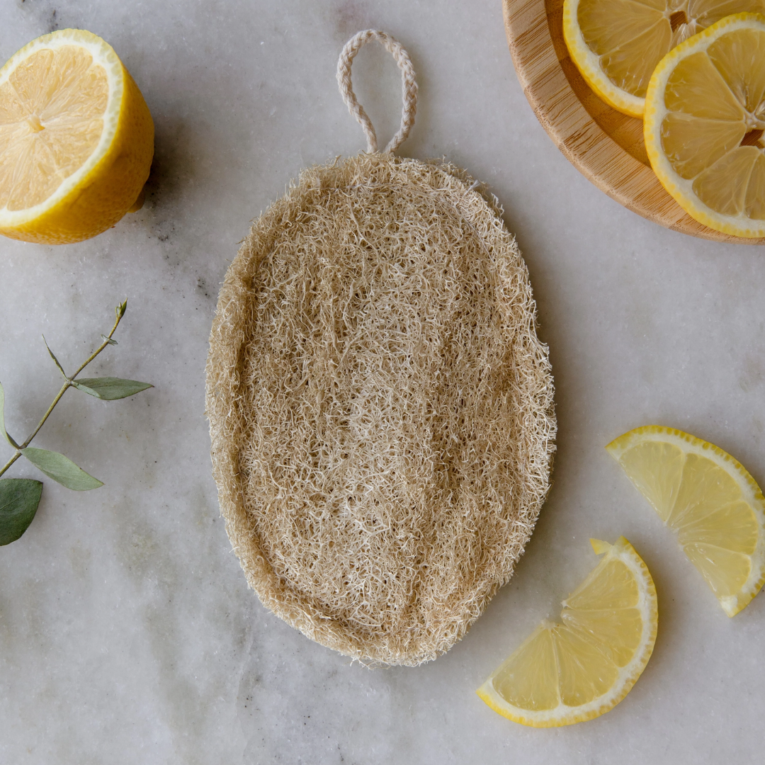 Natural Loofah Sponge - Double Layer Oval